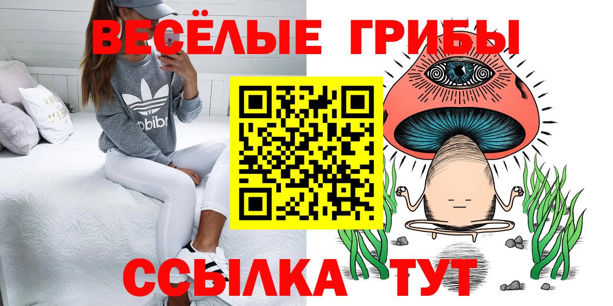 Красноармейск  Псилоцибиновые грибы Psilocybe  Вход с VPN 